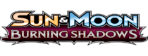 Burning Shadows